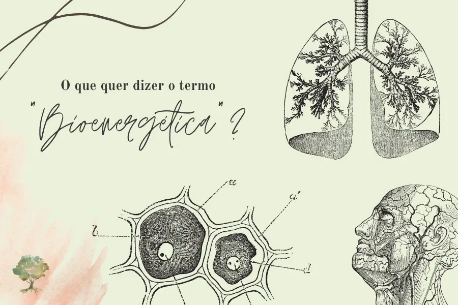 O que significa "Bioenergética"?